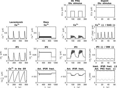 Reproducibility and Comparability of Computational Models for Astrocyte Calcium Excitability